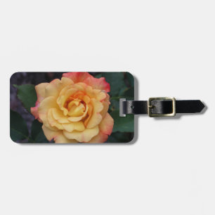 Peace Rose Beautiful Pink and Yellow Floral Luggage Tag
