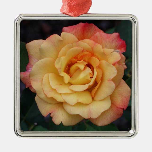 Peace Rose Beautiful Pink and Yellow Floral Metal Ornament (Front)