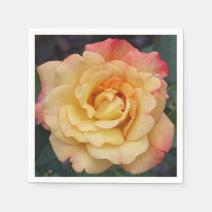 Peace Rose Beautiful Pink and Yellow Floral Napkin