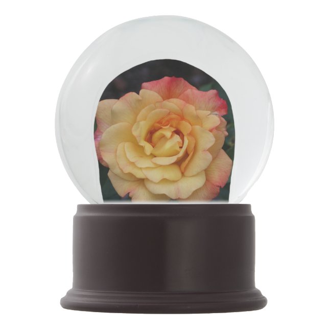 Peace Rose Beautiful Pink and Yellow Floral Snow Globe (Front)