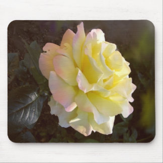 Peace Rose mousepad