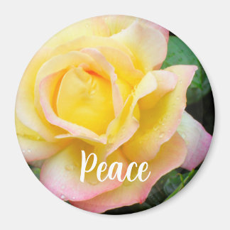 Peace Rose Photo Magnet
