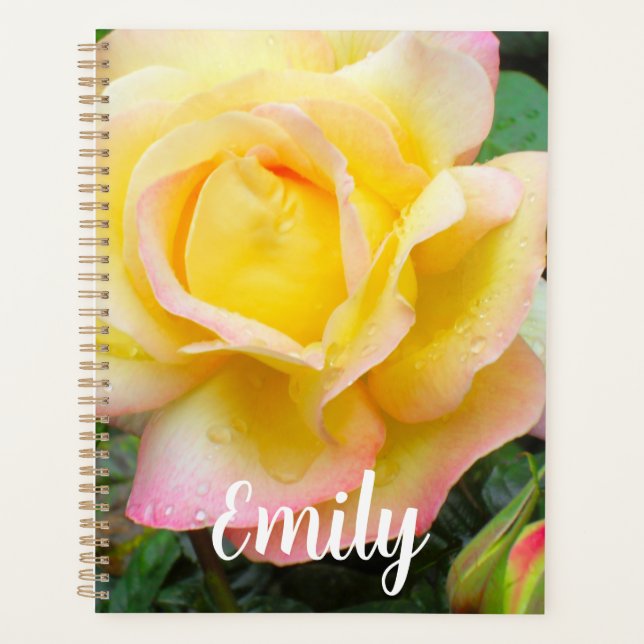 Peace Rose Photo Planner (Front)