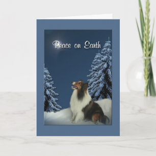 Peace Sheltie Holiday Card
