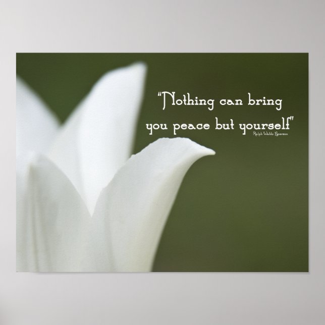 Peace Tulip Poster (Front)