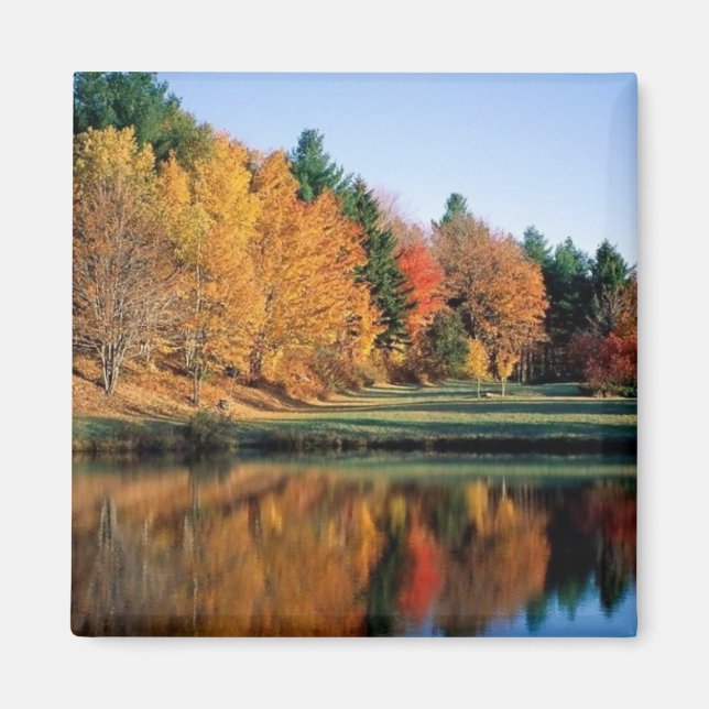 Peaceful Autumn In Vermont Magnet (Front)