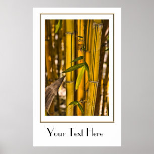 Peaceful Bamboo Jungle Poster