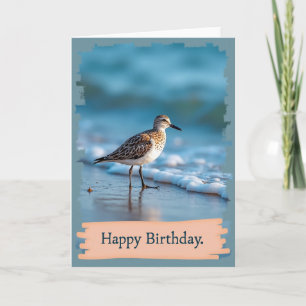 Peaceful Birthday Shorebird Card
