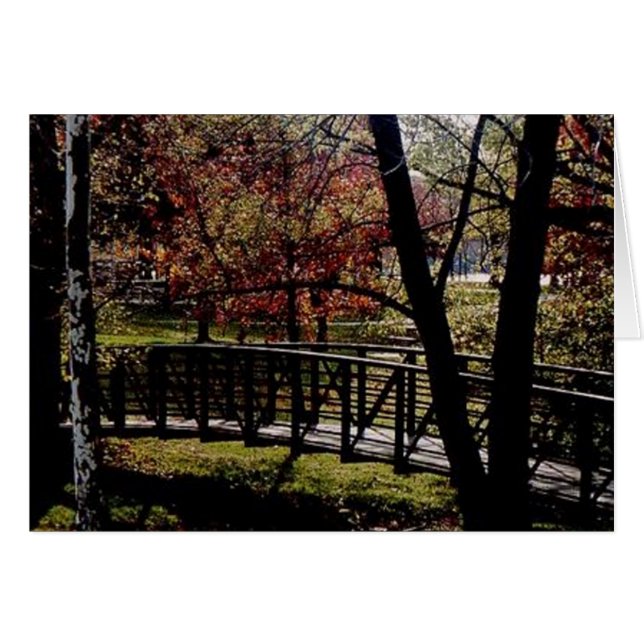 Peaceful bridge (Front Horizontal)