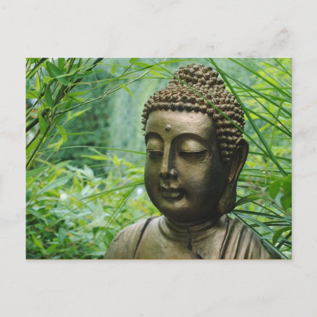 Peaceful Buddha Statue in a Leafy Green Forest Postcard (Front)