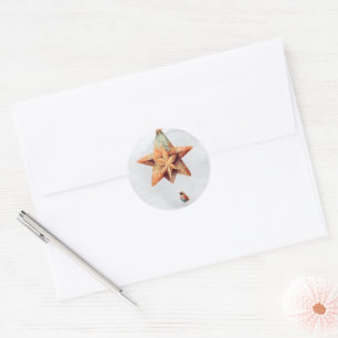 Peaceful Christmas Bird Stickers