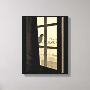 Peaceful Dove Canvas Print