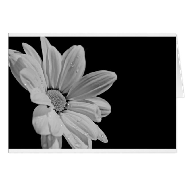 Peaceful Floral (Front Horizontal)