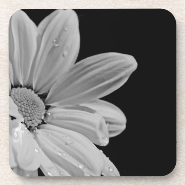 Peaceful Floral Coaster (Front)