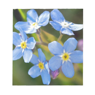 Peaceful Floral Forget Me Not Notepad