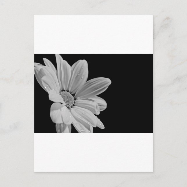 Peaceful Floral Postcard (Front)