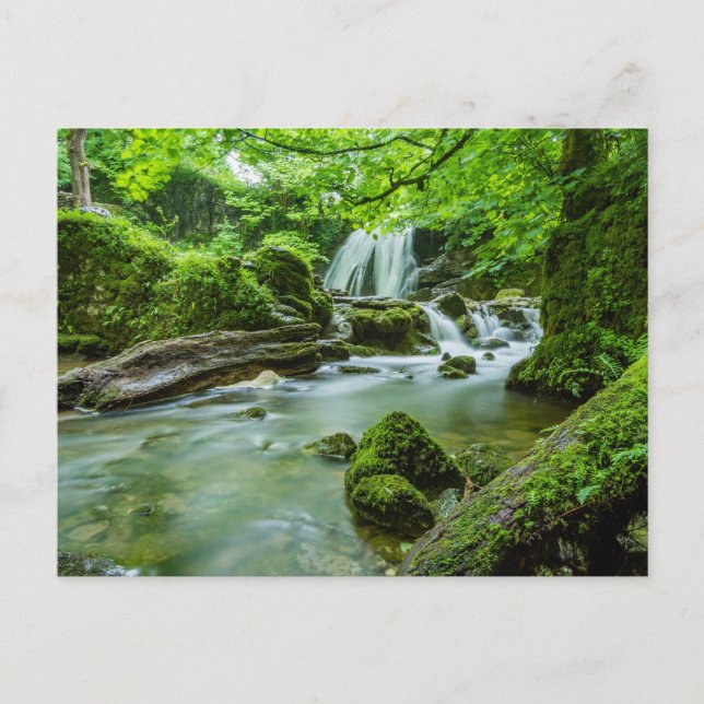 Peaceful Forest Waterfall Photo Postcard (Front)