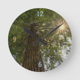 Peaceful Forest With Golden Light Nature Photo Round Clock