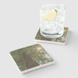 Peaceful Forest With Golden Light Nature Photo Stone Coaster