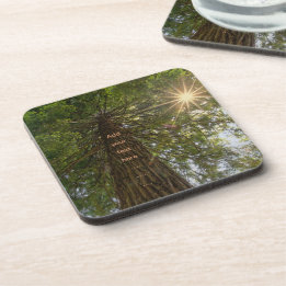 Peaceful Forest With Golden Light Photo Coaster