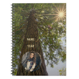 Peaceful Forest with Golden Light Photo Notebook