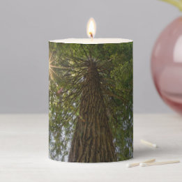 Peaceful Forest With Golden Light Photo Pillar