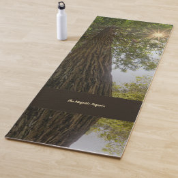 Peaceful Forest With Golden Light Photo Yoga Mat