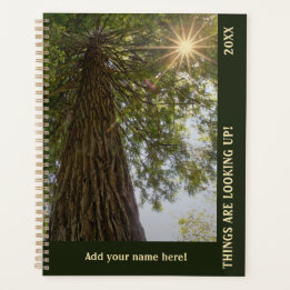 Peaceful Forest with Golden Light Planner