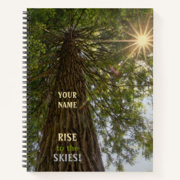 Peaceful Forest with Golden Light Sunburst Notebook