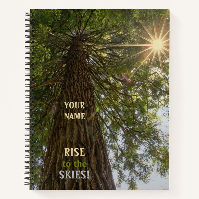 Peaceful Forest with Golden Light Sunburst Notebook (Front)