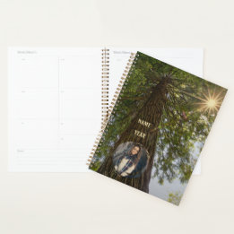 Peaceful Forest with Golden Light Sunburst Photo Planner