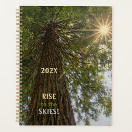 Peaceful Forest with Golden Light Through Leaves Planner