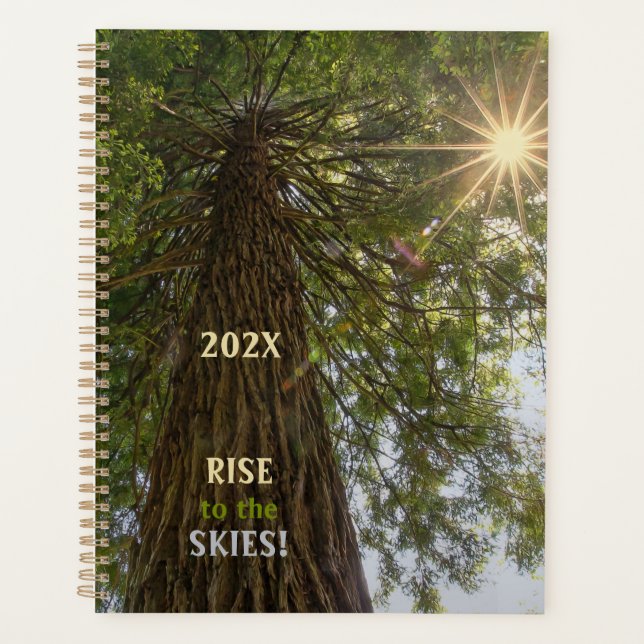 Peaceful Forest with Golden Light Through Leaves Planner (Front)