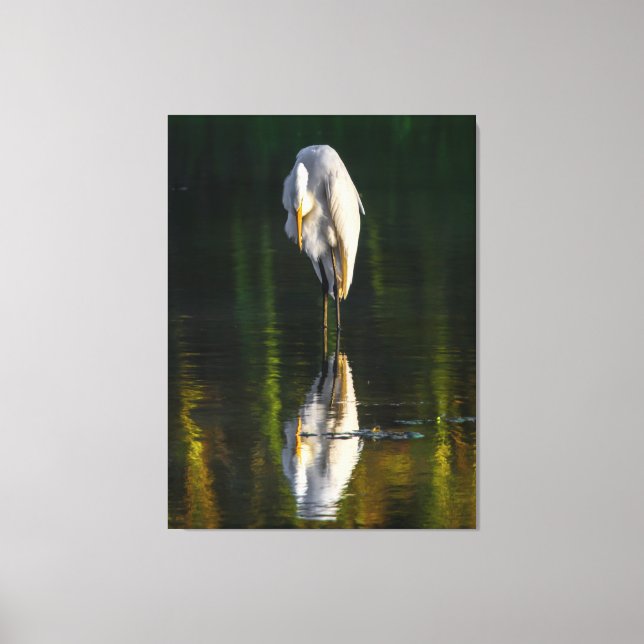 Peaceful Great White Egret with Reflection Canvas Print (Front)