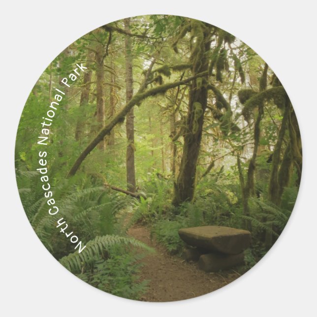 Peaceful Green Forest Trail in Washington Classic Round Sticker (Front)
