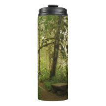 Peaceful Green Forest Trail in Washington