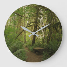 Peaceful Green Forest Trail Washington