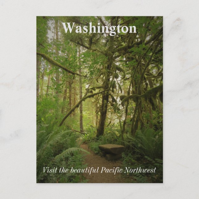 Peaceful Green Forest Trail Washington Postcard (Front)
