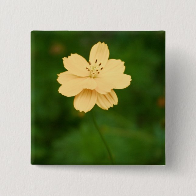 Peaceful Harmony 2 Inch Square Button (Front)