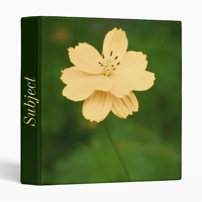 Peaceful Harmony Binder (Front/Spine)