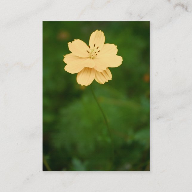 Peaceful Harmony Mini Print Business Card (Front)