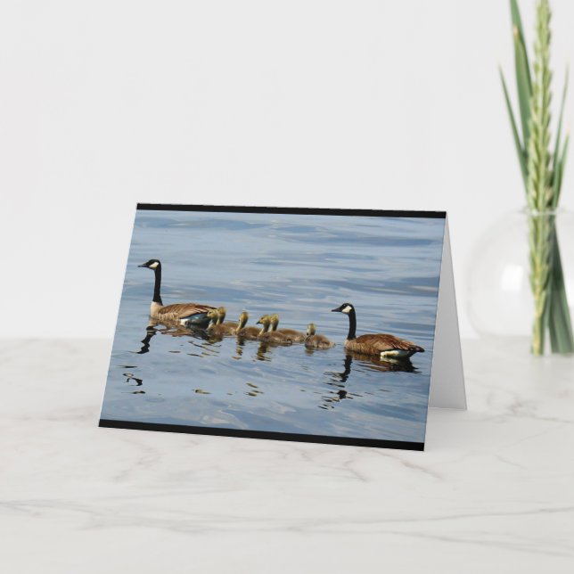 Peaceful Lake Scene With Family Of Geese Card (Front)