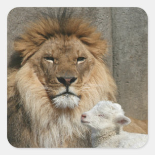 Peaceful lion and lamb square sticker