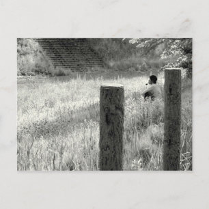 Peaceful Moment Postcard