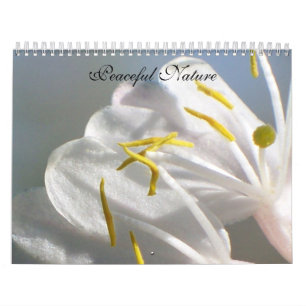 Peaceful Nature Calendar