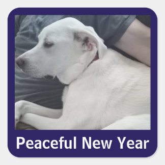 Peaceful New Year Cute Dog Photo with Dad Blue Square Sticker