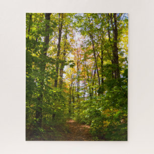 Peaceful Path In The Forest Jigsaw Puzzle