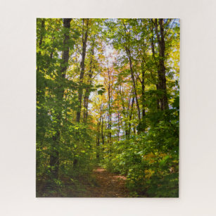 Peaceful Path In The Forest Jigsaw Puzzle