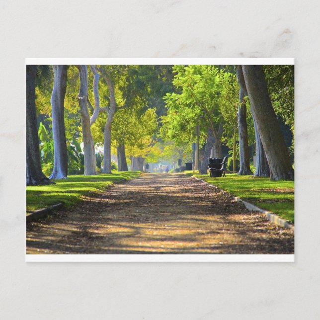 Peaceful Path Postcard (Front)