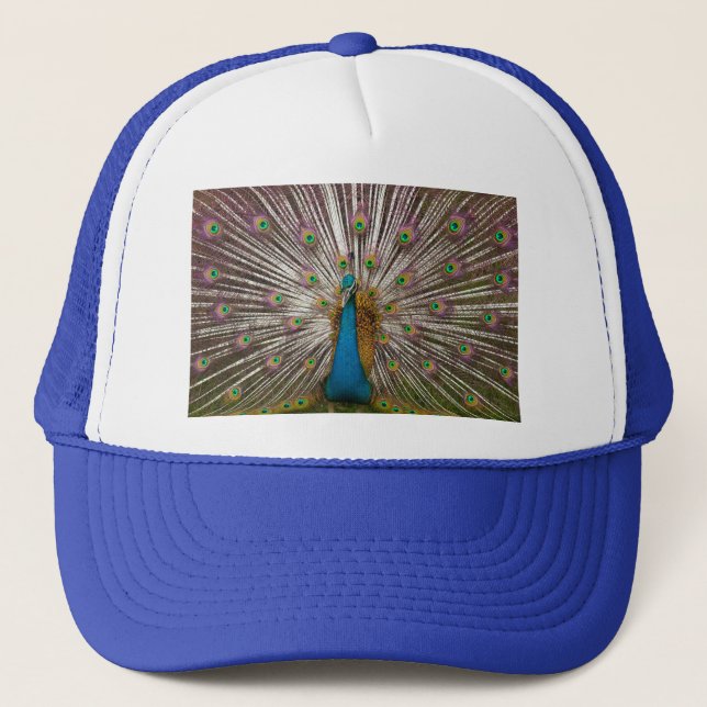 Peaceful Peacock Trucker Hat (Front)